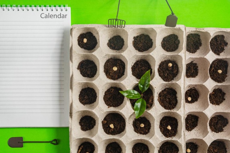 Les engrais biologiques à Aussillon : conseils d'experts pour votre jardin