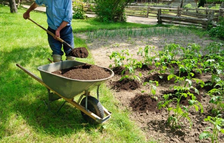 À Castres, l'engrais pour jardiniers amateurs dépend du sol cultivé